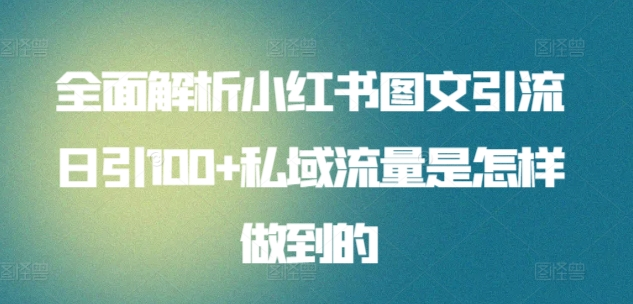 日引流100私域流量小红书图文是怎样做到的全面解析-吉祥副业