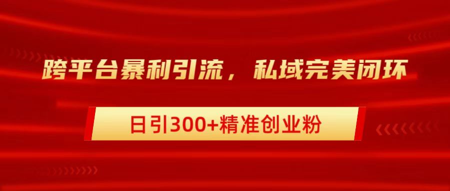 跨平台暴力引流，私域完美闭环，日引300+精准创业粉-吉祥副业