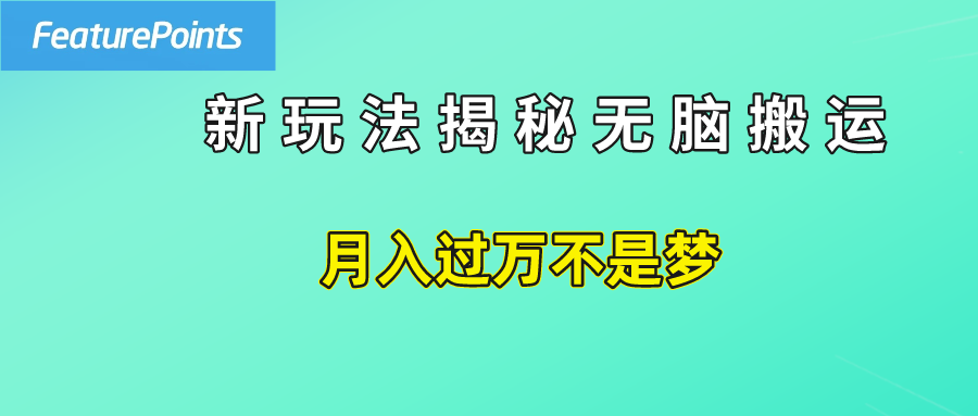 简单操作，每天50美元收入，搬运就是赚钱的秘诀！-吉祥副业