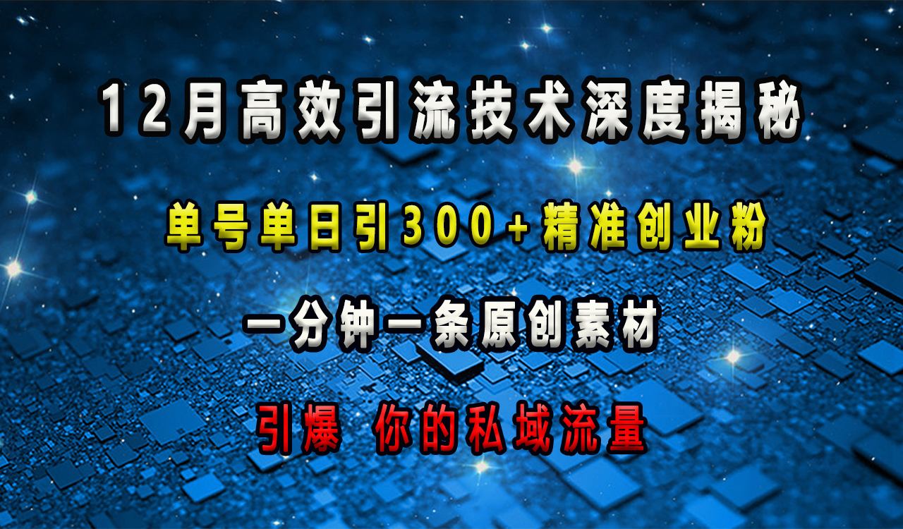 12月高效引流技术深度揭秘 ，单号单日引300+精准创业粉，一分钟一条原创素材，引爆你的私域流量-吉祥副业
