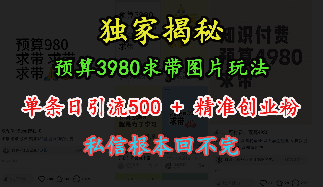 “小红书”预算3980求带 图片玩法，单条日引流500+精准创业粉，私信根本回不完-吉祥副业