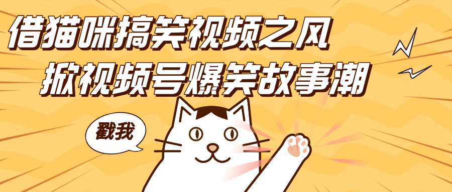 借猫咪搞笑视频之风，掀视频号爆笑故事潮，轻松日赚四位数，开启无门槛赚钱新体验！-吉祥副业