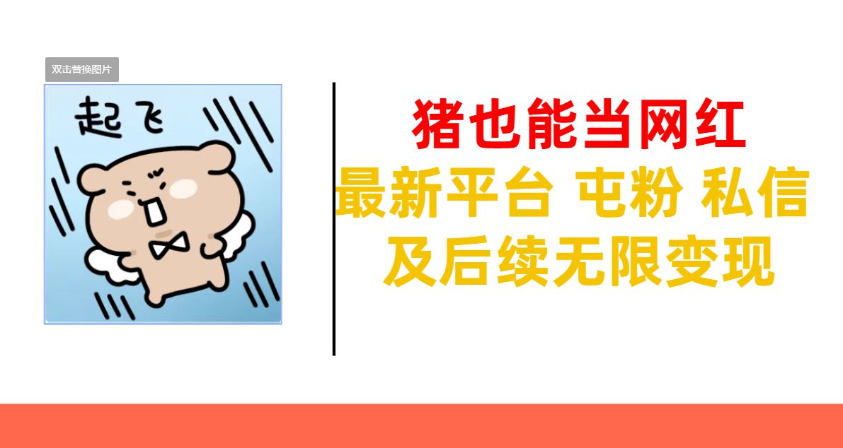 猪也能当网红-最新平台 屯粉 交流 私信 及后续无限变现-吉祥副业
