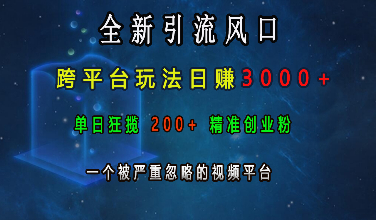 全新引流风口，跨平台玩法日赚3000+，单日狂揽200+精准创业粉，一个被严重忽略的视频平台-吉祥副业