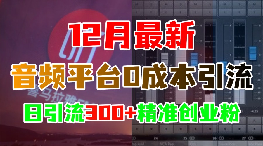 12月最新：音频平台0成本引流，日引300+精准创业粉-吉祥副业