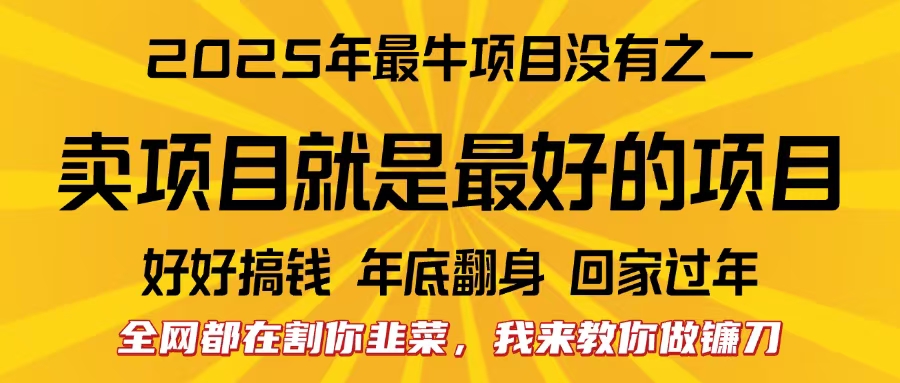 全网都在割你韭菜，我来教你做镰刀。卖项目就是最好的项目，2025年最牛互联网项目-吉祥副业