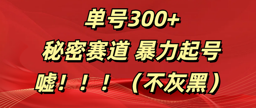 单号300+  秘密赛道 暴力起号  （不灰黑）-吉祥副业