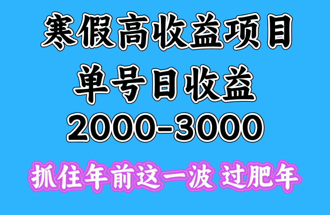 寒假期间一天收益2000-3000+，抓住年前这一波-吉祥副业