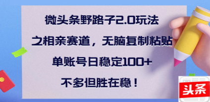 全网首发微头条野路子2.0玩法之相亲赛道，无脑搬砖复制粘贴，单账号日稳定300+保姆级教程-吉祥副业