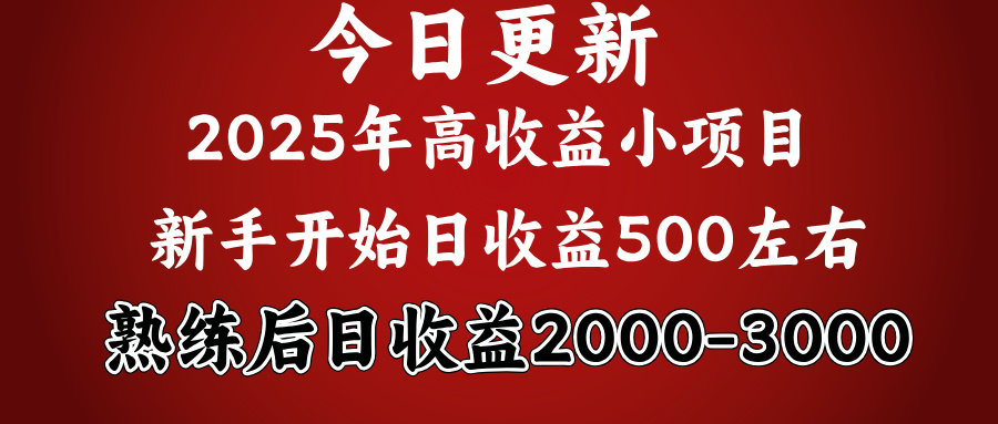 2025开年好项目，新手日收益500+ 熟练掌握后，日收益平均2000多-吉祥副业