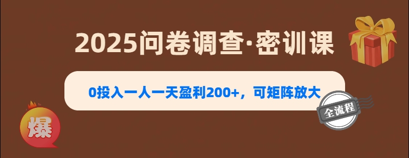 2025《问卷调查》0投入一人一天盈利200+，可矩阵放大-吉祥副业