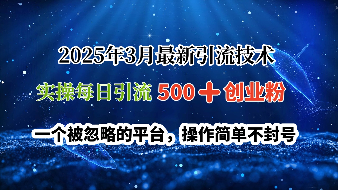 2025年3月最新引流技术，实操每日引流500➕创业粉，一个被忽略的平台，操作简单不封号-吉祥副业