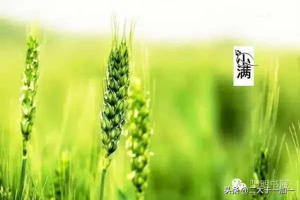 现代农民增加收入的出路——仍然是搞副业-吉祥副业