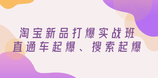 【副业项目3372期】淘宝新品打爆实战班（淘宝店铺如何增加流量和访客）-吉祥副业