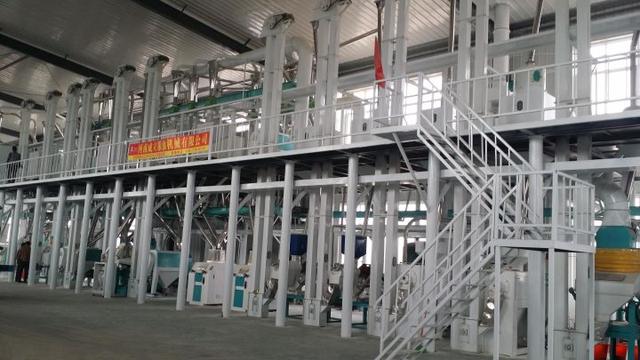 五十吨玉米深加工项目赚钱吗？小型玉米深加工项目有哪些？-吉祥副业
