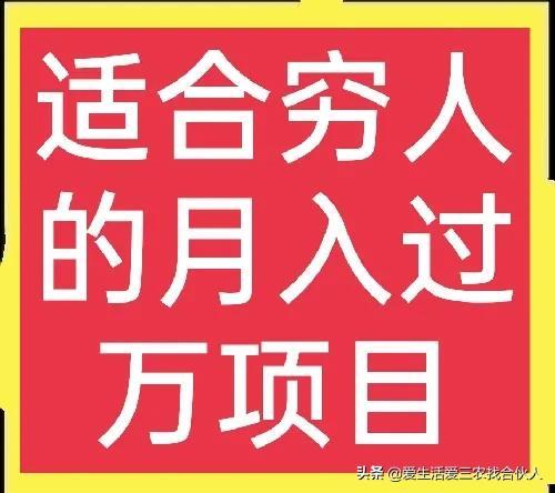 适合农村人做的赚钱项目（在农村做什么项目好）-吉祥副业