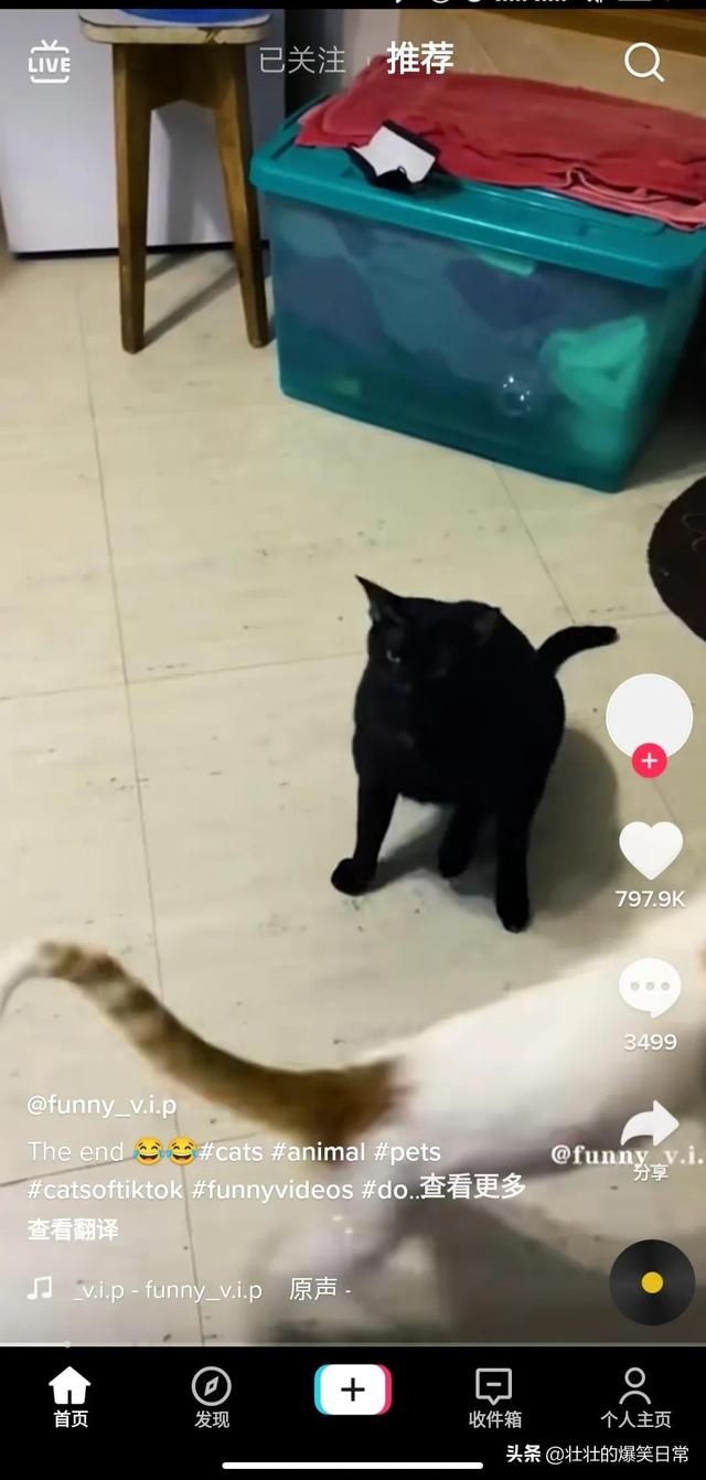 如何使用海外版抖音(国内怎样使用tiktok)-吉祥副业