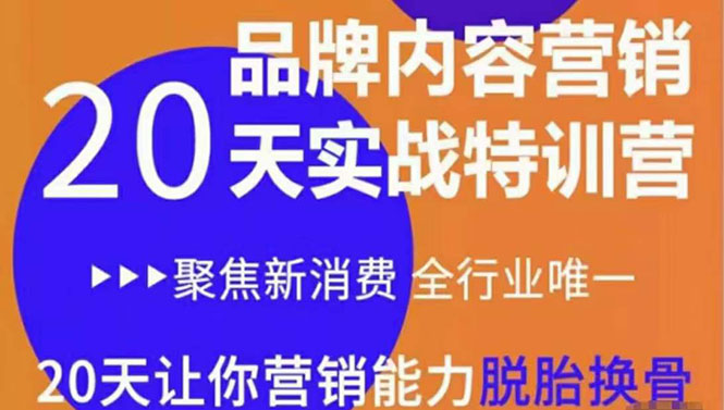 【副业项目3899期】《内容营销实操特训营》20天让你营销能力脱胎换骨（价值3999）-吉祥副业