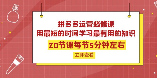 【副业项目4189期】拼多多运营必修课：20节课每节5分钟左右，用最短的时间学习最有用的知识-吉祥副业