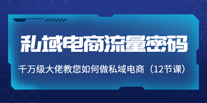 【副业项目4297期】私域电商流量密码：千万级大佬教您如何做私域电商（12节课）-吉祥副业