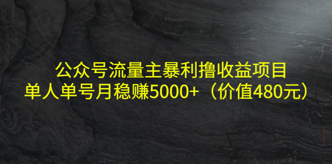 【副业项目4325期】公众号流量主暴利撸收益项目，单人单号月稳赚5000+（价值480元-吉祥副业