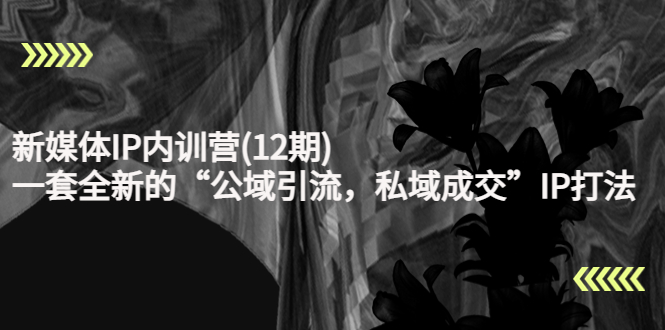 【副业项目4405期】新媒体IP内训营(12期)：一套全新的“公域引流，私域成交”IP打法，直接带走-吉祥副业