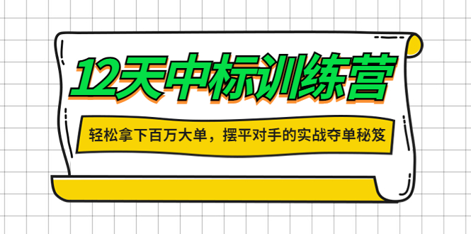 【副业项目4416期】12天中标训练营：轻松拿下百万大单，摆平对手的实战夺单秘笈-吉祥副业