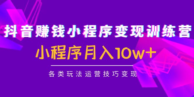 【副业项目4765期】抖音赚钱小程序变现训练营：小程序月入10w+各类玩法运营技巧变现-吉祥副业