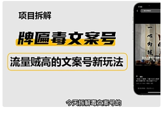 【副业项目4912期】2023抖音快手毒文案新玩法，牌匾文案号，起号快易变现-吉祥副业