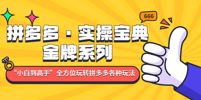 【副业项目5130期】拼多多·实操宝典：金牌系列“小白到高手”带你全方位玩转拼多多各种玩法-吉祥副业