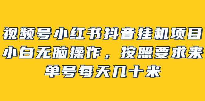 【副业项目2904期】视频号小红书抖音挂机项目，小白无脑操作，按照要求来，单号每天几十米-吉祥副业