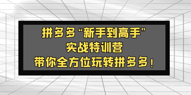 【副业项目5317期】拼多多“新手到高手”实战特训营：带你全方位玩转拼多多-吉祥副业