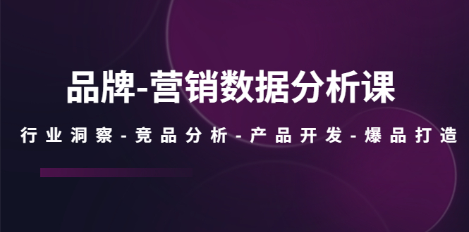 【副业项目5644期】品牌-营销数据分析课，行业洞察-竞品分析-产品开发-爆品打造-吉祥副业