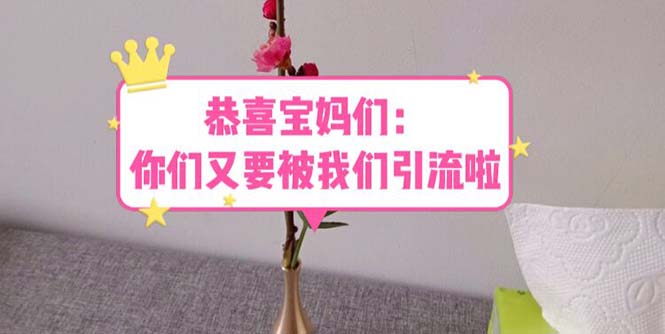 【副业项目5918期】恭喜宝妈们：你们又要被我们引流了（教程+222g资料）-吉祥副业