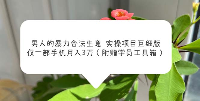【副业项目5982期】男人的暴力合法生意实操项目巨细版：仅一部手机月入3w（附赠学员工具箱）-吉祥副业