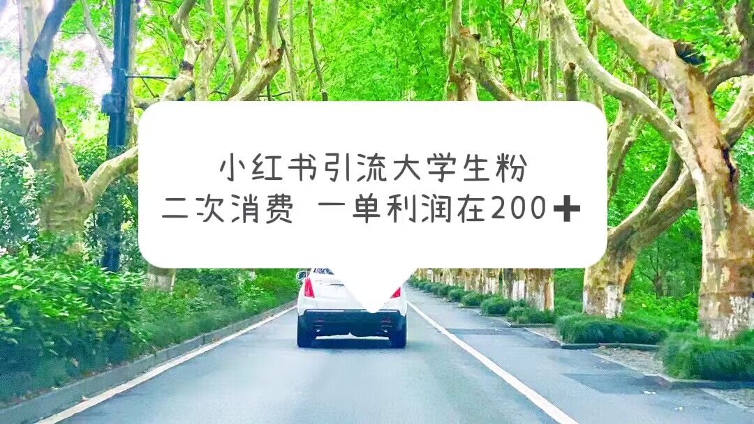 【副业项目5937期】小红书引流大学生粉，变现项目，一单利润在200+（教程+资源）-吉祥副业