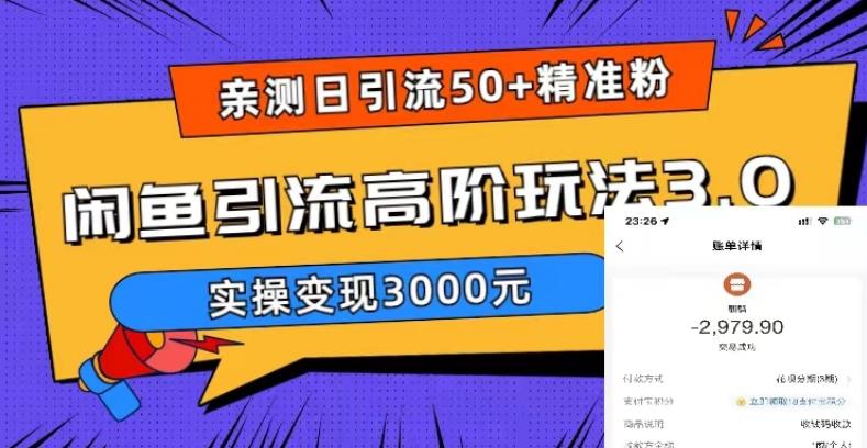 【副业项目5795期】实测日引50+精准粉，闲鱼引流高阶玩法3.0，实操变现3000元-吉祥副业