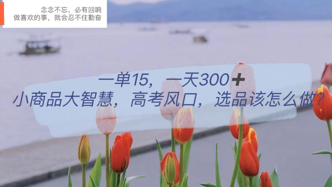 【副业项目6119期】一单15,一天300+,小商品大智慧,高考风口,选品该怎么布局-吉祥副业