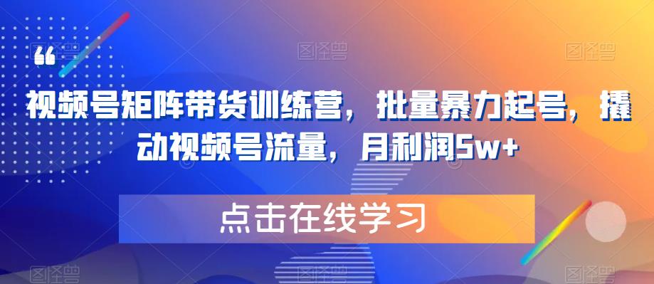 【副业项目6254期】视频号矩阵带货训练营，批量暴力起号，撬动视频号流量，月利润5w+-吉祥副业