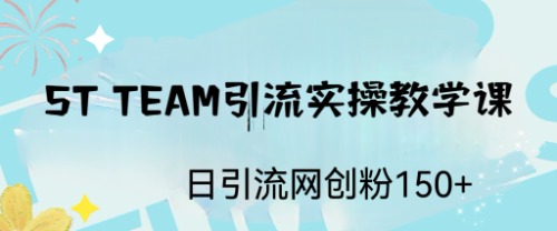 【副业项目6745期】ST TEAM引流实操课，日引流网创粉100+-吉祥副业