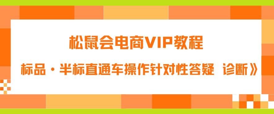 【副业项目6373期】松鼠会电商VIP教程：松鼠《付费推广标品·半标直通车操作针对性答疑&诊断》-吉祥副业