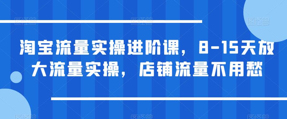 【副业项目6415期】淘宝流量实操进阶课，8-15天放大流量实操，店铺流量不用愁-吉祥副业