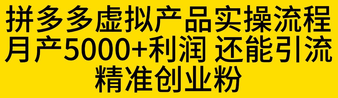 【副业项目6569期】拼多多虚拟产品实操流程，月产5000+利润，还能引流精准创业粉-吉祥副业