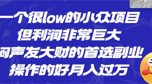 【副业项目6782期】一个很low的小众项目，但利润非常巨大，闷声发大财的首选副业，月入过万-吉祥副业