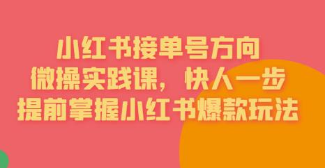 【副业项目6820期】接单号方向·小红书微操实践课，快人一步，提前掌握小红书爆款玩法-吉祥副业