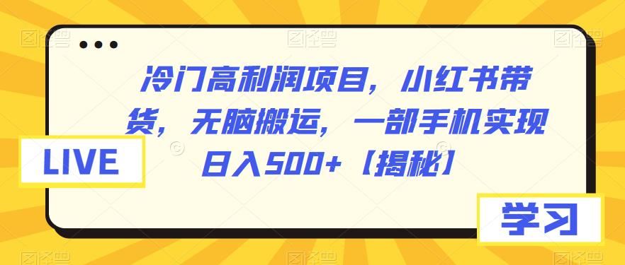 【副业项目6875期】冷门高利润项目，小红书带货，无脑搬运，一部手机实现日入500+【揭秘】-吉祥副业