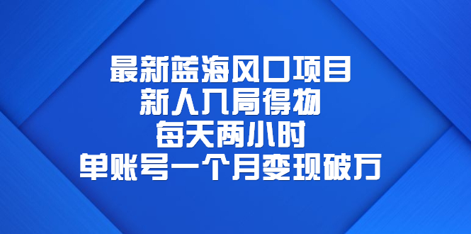 【副业项目6649期】最新蓝海风口项目，新人入局得物，每天两小时，单账号一个月变现破万-吉祥副业