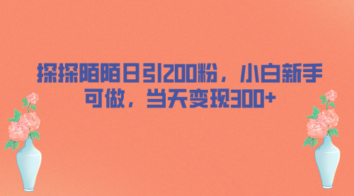 【副业项目7026期】探探陌陌日引200粉，小白新手可做，当天就能变现300+-吉祥副业