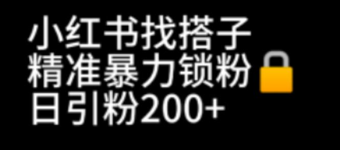 【副业项目7040期】小红书找搭子暴力精准锁粉+引流日引200+精准粉-吉祥副业