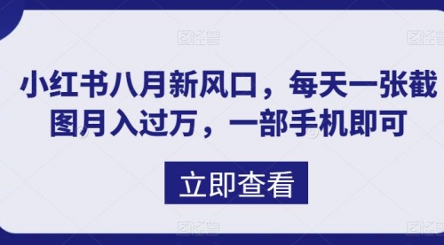 【副业项目7078期】八月新风口，小红书虚拟项目一天收入1000+-吉祥副业
